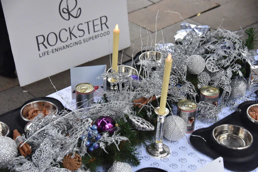 From One Street Dog To Another...