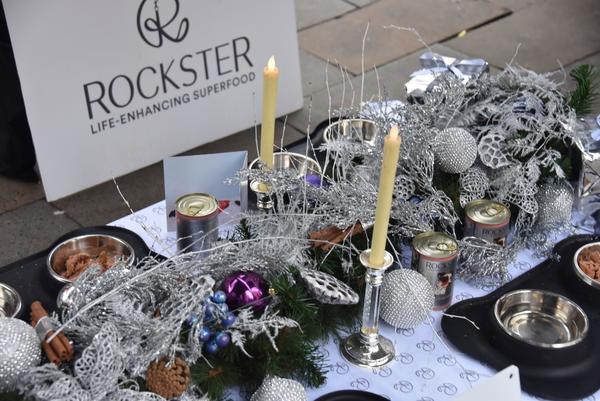 From One Street Dog To Another...