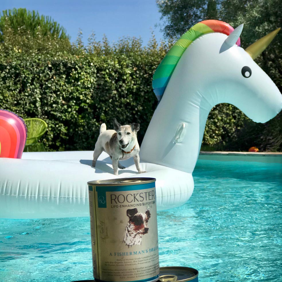 Kona Cave's own Rockster Story