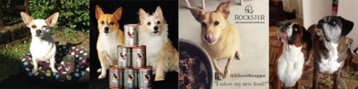 How Rockster Superfood is Changing Lives and The Story of Trixie
