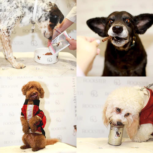 Rocking Leake Street, Doggy Style…