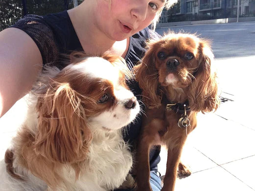 Eva and Amelia's World Review: My Rockster Story